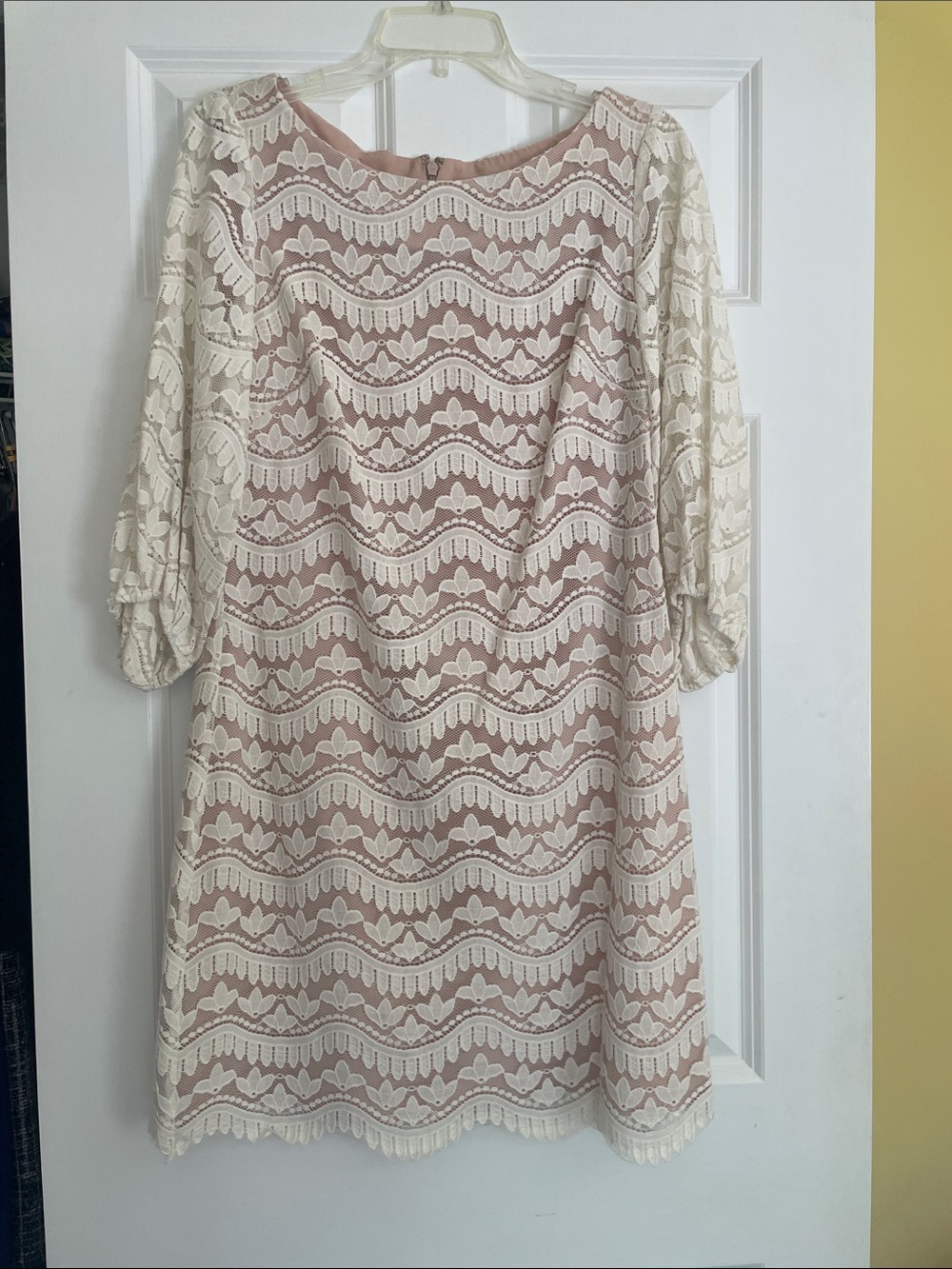 Eliza J Cream Lace Shift Dress with Blush Lining